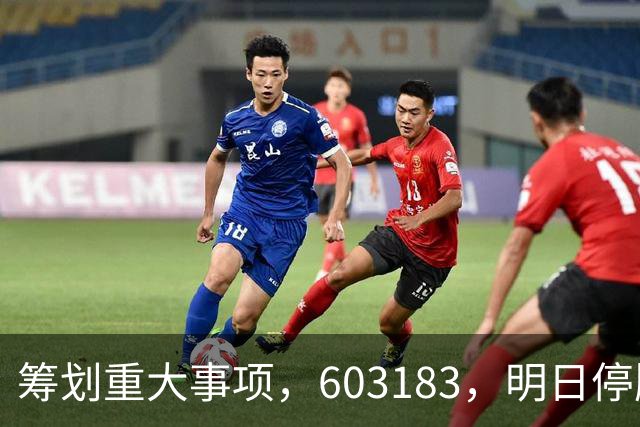 筹划重大事项，603183，明日停牌
